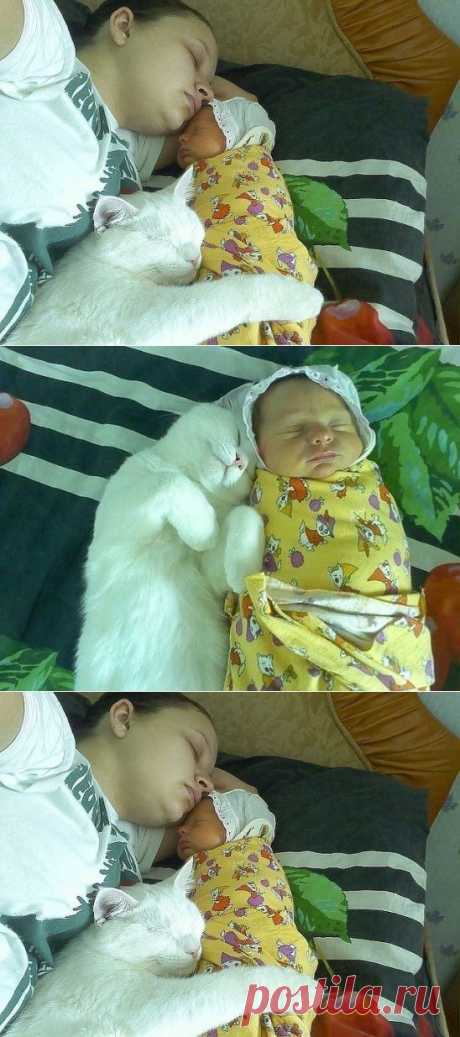 (67) Одноклассники