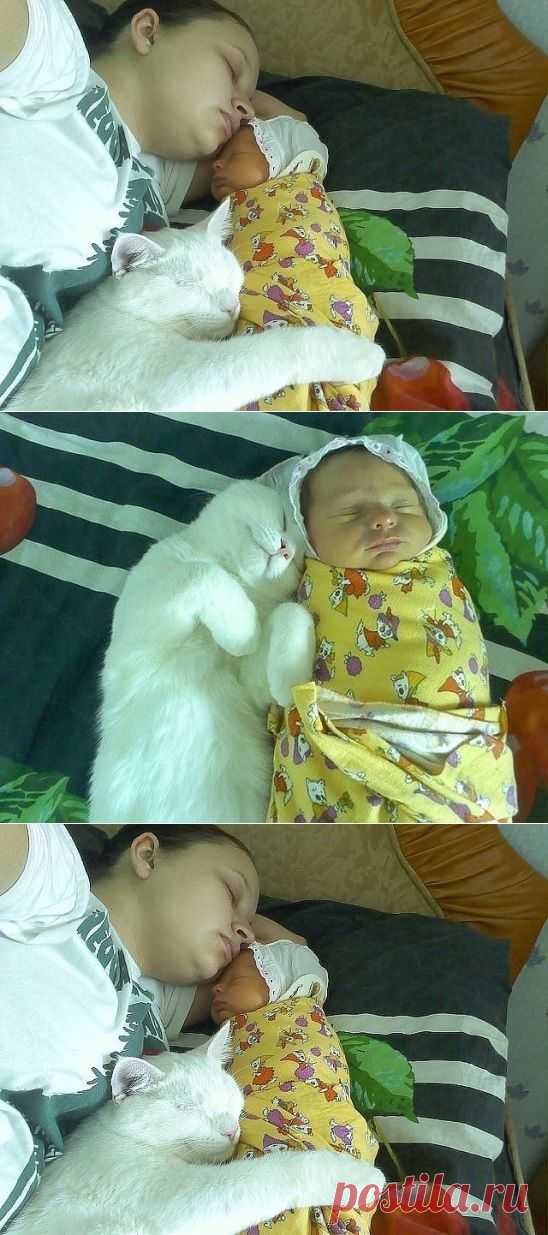 (67) Одноклассники