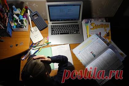 В Петербурге перевели на удаленку 2,75 процента классов. В связи со случаями заражения COVID-19 и ОРВИ в Санкт-Петербурге 2,75 процента классов перевели на дистанционное обучение. Об этом сообщила начальник отдела общего образования комитета по образованию Санкт-Петербурга Анна Грубская. По данным на 6 декабря, в городе перешли на удаленный формат 551 класс в 116 школах.