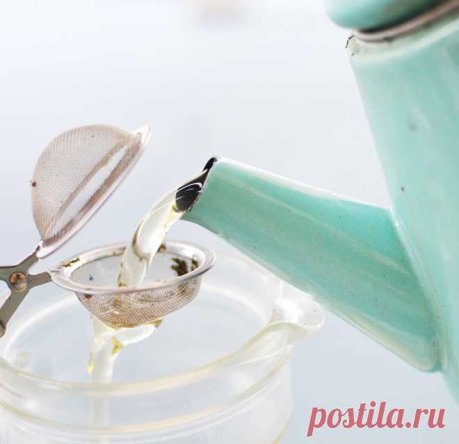 Травы для чая: какие и как собирать, заваривать травяной чай – рецепты на каждый день | Houzz Россия