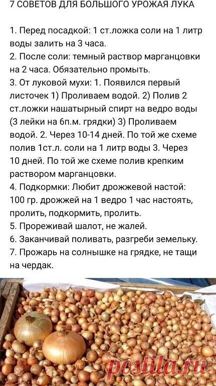 ⬇ ⬇ ⬇ - ПОЛЕЗНЫЕ СОВЕТЫ | OK.RU