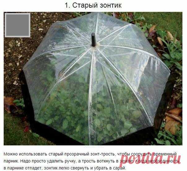 10 отличных советов для тех, у кого есть дача