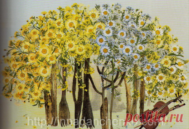 Призы из Японии. Итоги конкурса по ошибане за 2014 год