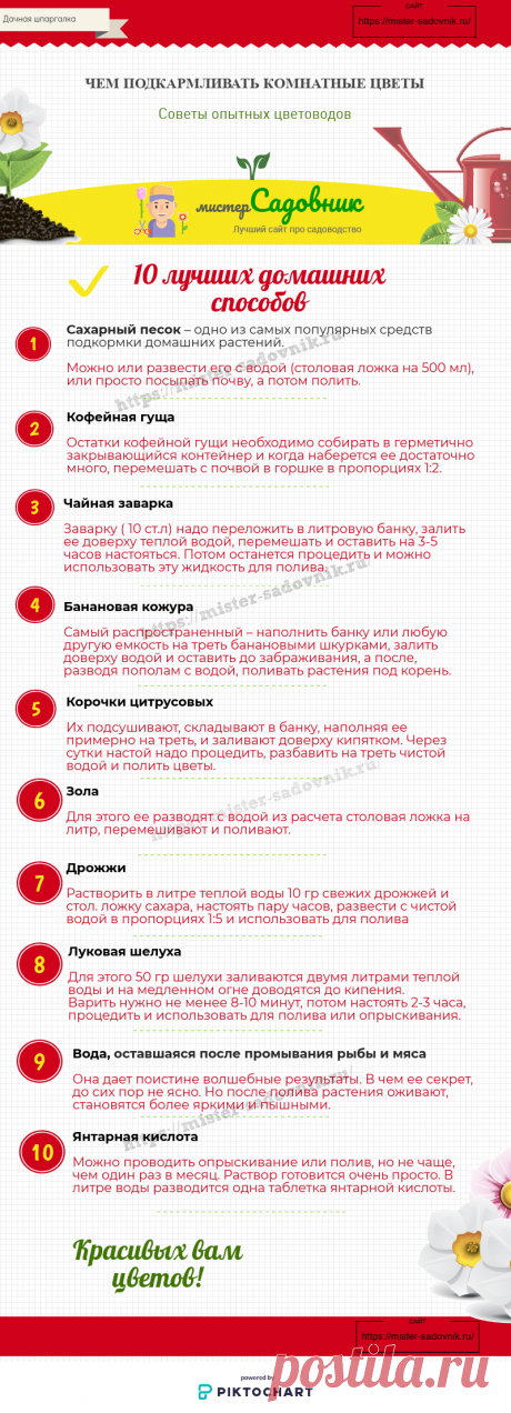 Чем подкармливать комнатные цветы в домашних условиях без химии