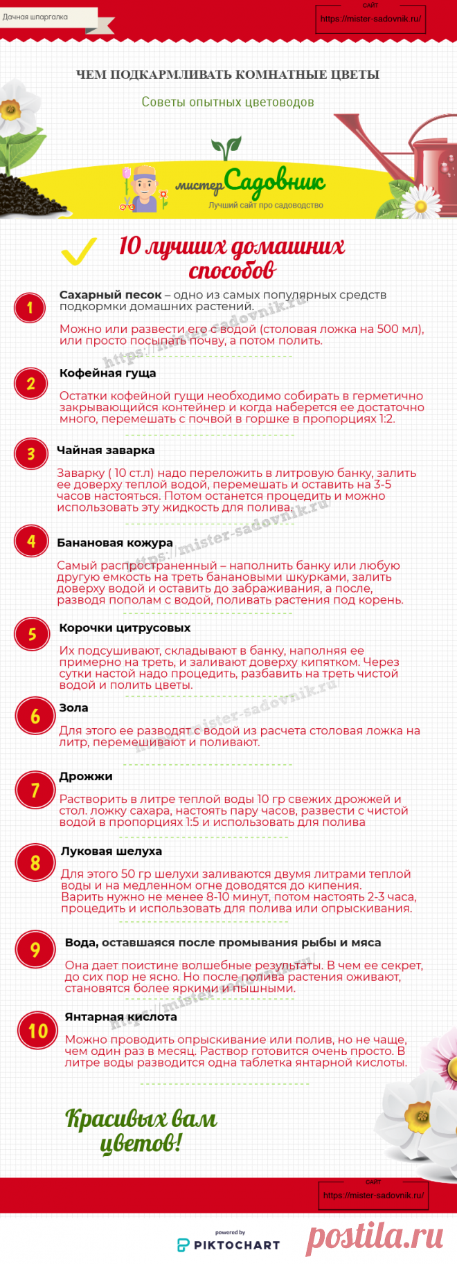 Чем подкармливать комнатные цветы в домашних условиях без химии