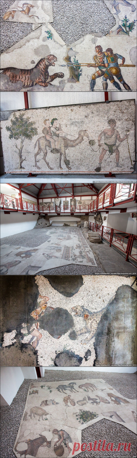 ФотоТелеграф » Музей уникальных византийских мозаик