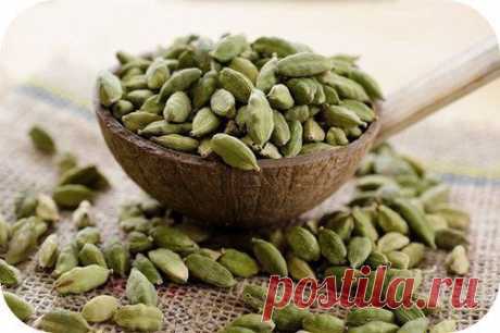 Принцесса Специй_Путеводитель по специям: КАРДАМОН