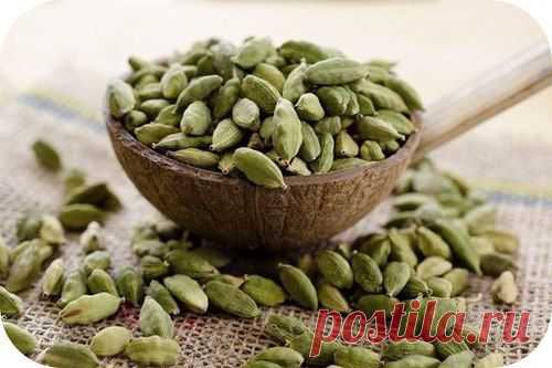 Принцесса Специй_Путеводитель по специям: КАРДАМОН