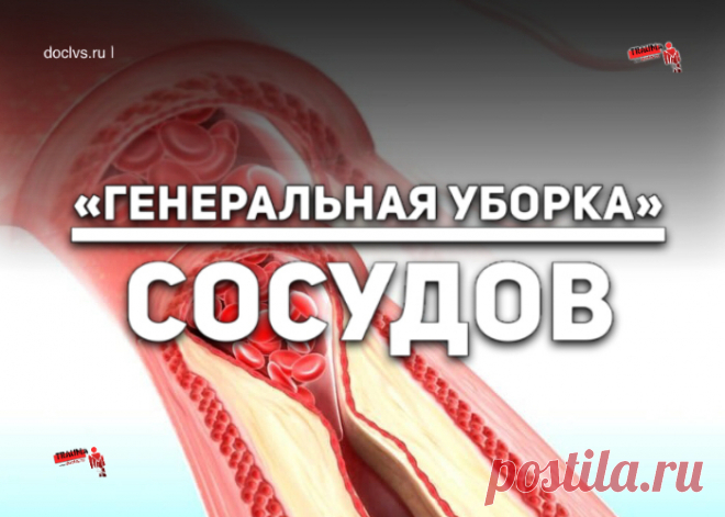 «Генеральная уборка» сосудов, целебное масло для сосудов: рецепты, как применять, в чем польза