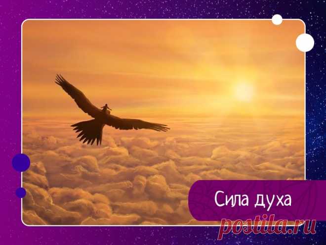 СИЛА ДУХА. Очень многое в этой жизни ЗАВИСИТ от вашей ДУШИ, которая в физическом мире не находится, а лишь тесно связана с физическим телом. У кого-то хватает сил на самые отчаянные и опасные поступки, а у кого-то их не хватает даже заступиться за себя в самой обычной житейской ситуации. Страх – это...