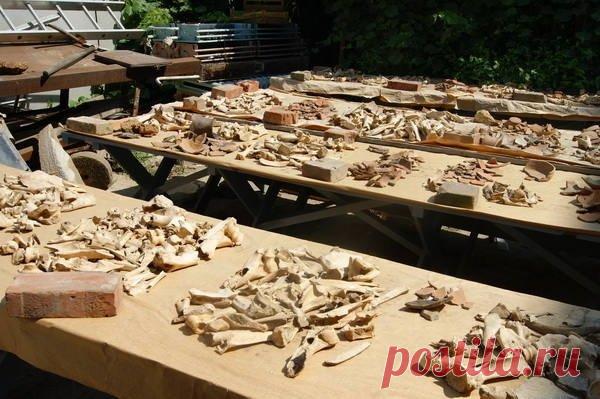 Ростовские ученые выяснили, что средневековый Азов был больше, чем предполагалось ранее | История