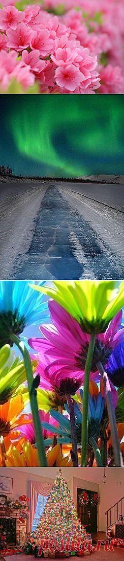 Одноклассники