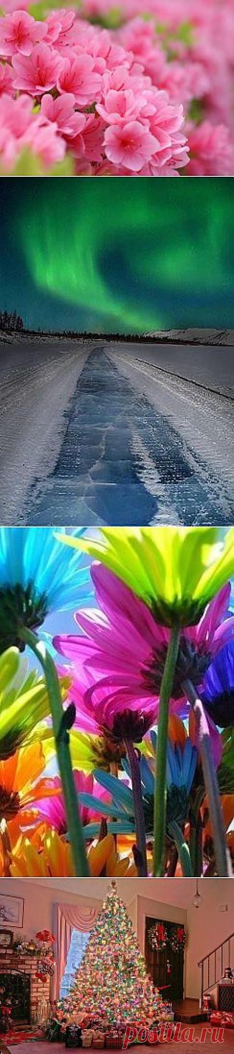 Одноклассники