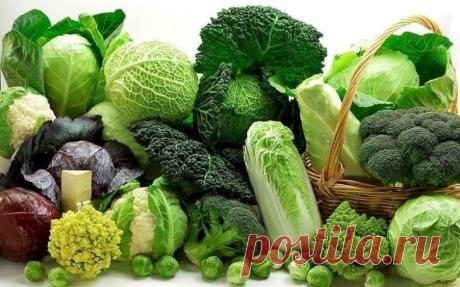 Почему необходимо употреблять продукты с серой