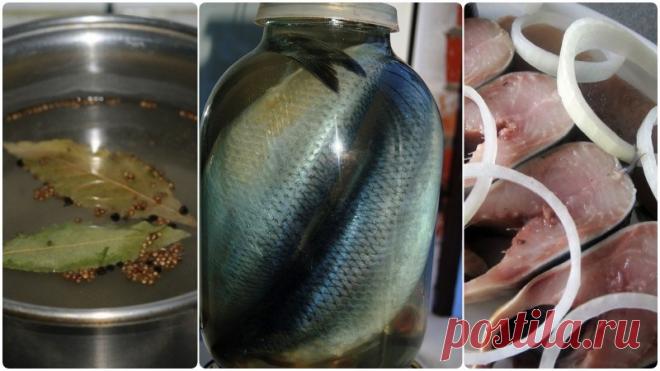 Как приготовить малосольную селедку в домашних условиях