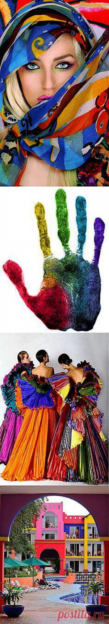 color splash | Windows to the Soul