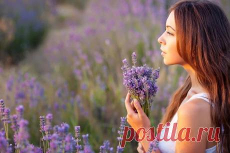 7 качеств гармоничной женщины &amp;#8212; Планета и человек