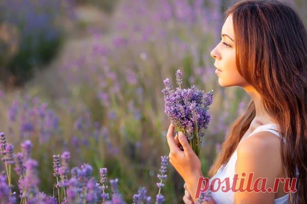 7 качеств гармоничной женщины &#8212; Планета и человек