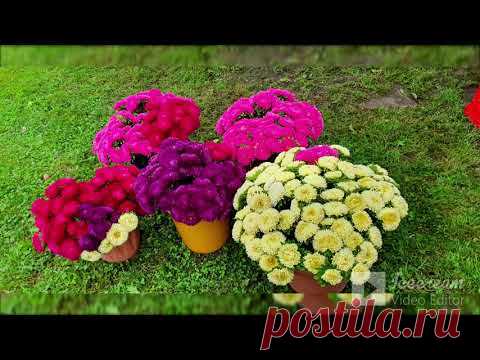 ПРОЕКТ  