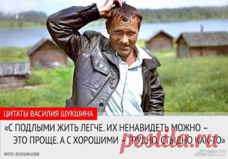2 октября 1974 года не стало Василия Шукшина. Он умер от сердечной недостаточности во время съемок фильма «Они сражались за Родину», актеру было всего 45 лет. За годы работы в кино он сделал так много, что словами передать невозможно. Но не успел исполнить мечту всей своей жизни – снять фильм о Степане Разине, к которому писал сценарий на протяжении десяти лет.
Шукшин, каким мы его запомнили и каким мы его не знали, - в материале Марины Мурзиной: https://www.aif.ru/culture/person/134982