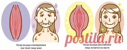 Обвисшие щеки: кулак и 10 минут чтобы вернуть лицо на место