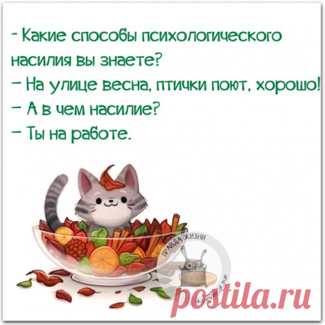 ПРИКОЛЬНЫЕ ФРАЗОЧКИ В КАРТИНКАХ