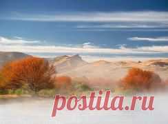 Чисто Поржать [ORIGINALL]. Добавлены 7 фотографий в альбом красота рядом с нами.....