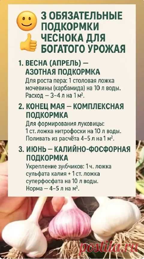 Пин на доске Огород