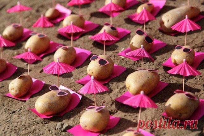 Идеи для жизни