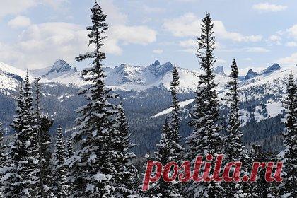 Искавший Усольцевых волонтер выступил с заявлением после появления новой детали в деле