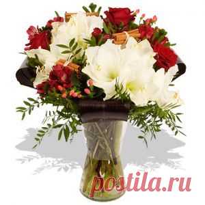 Советы домохозяйкам