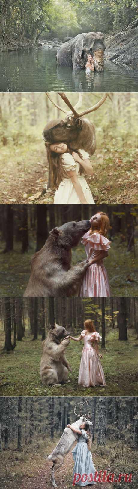 Это кто тут перед камерой СЛОНяется? // KP.RU