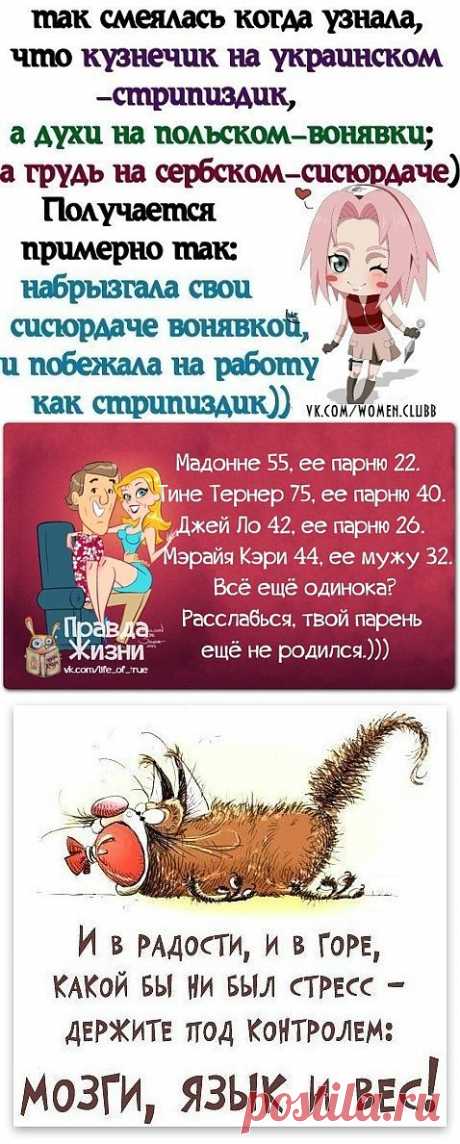 Улыбнуло)))).