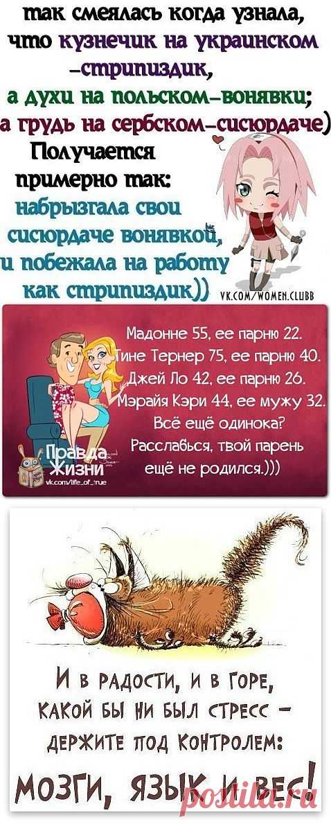 Улыбнуло)))).