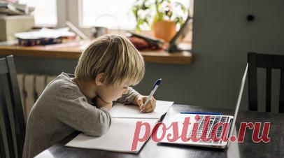 В Кузбассе более 1,4 тысячи школьников перевели на дистант из-за ОРВИ. В Кемеровской области более 1,4 тыс. школьников перевели на дистанционное обучение из-за распространения ОРВИ и внебольничной пневмонии. Читать далее