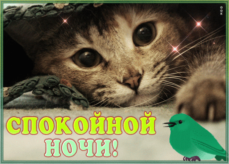 Тебе желаю снов хороших,
Чтоб ночка тихою была.
Желаю выспаться сегодня,
Набраться сил тебе сполна!