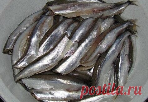 (6) Одноклассники