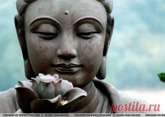 5 оздоровительных практик
для щитовидной железы/
Практика 1. Как восполнить потребность организма в суточной норме йода без таблеток
Самым главным и важным источником здорового активного йода для человека являются яблочные семечки. Достаточно один раз в день разжевывать (именно разжевывать, а не просто глотать) семечки одного яблока, чтобы получить недостающее количество йода.
Вторым важным источником йода являются морские водоросли (ламинария).
Практика 2. Целебные вибрации...