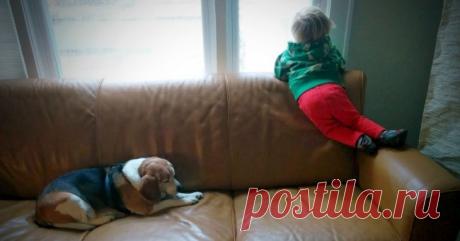 Трехлетний мальчик написал письмо своей умершей собаке и... получил ответ