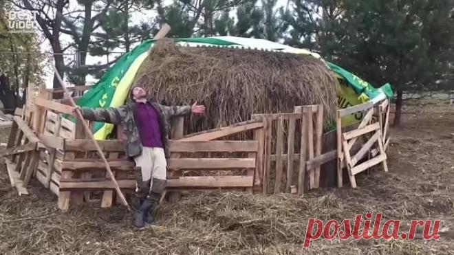 VID_20230616_121721_528.mp4