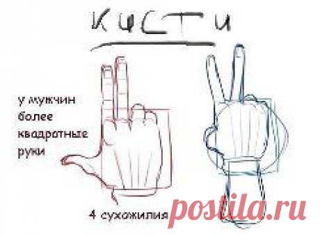 Мастер-классы для всех !
Как правильно рисовать
Нет ничего невозможного. Это утверждение напрямую относится и к рисованию. Если вы не умеете рисовать (или не знаете, что умеете), то необходимо практиковаться, «набивать руку» и день ото дня ваши рисунки будут все лучше и лучше.