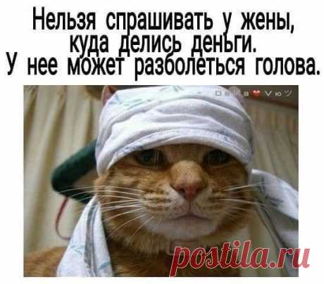 Жена звонит мужу: — Я забыла код и не могу снять деньги со своей карточки. Я тебе сообщала, ты код помнишь? — Да, код — год твоего рождения. — Спасибо. Через пару минут она опять звонит: — Банкомат говорит, что код неверен… — Так ты вводи свой настоящий год рождения, а не тот, который ты всем рассказываешь! - Выпуск №3000