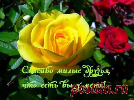 Google+