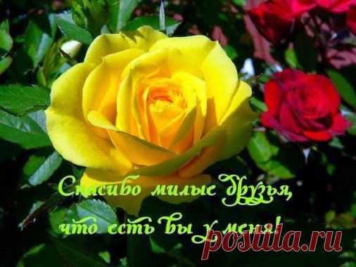 Google+