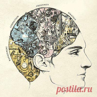 Как развивать полушария мозга?