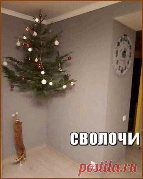 РЖОМ - прикольные мемы, картинки, стихи. — Фото | OK.RU