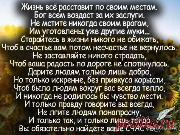 Мир всезнайки | цитаты, стихи, истории, притчи