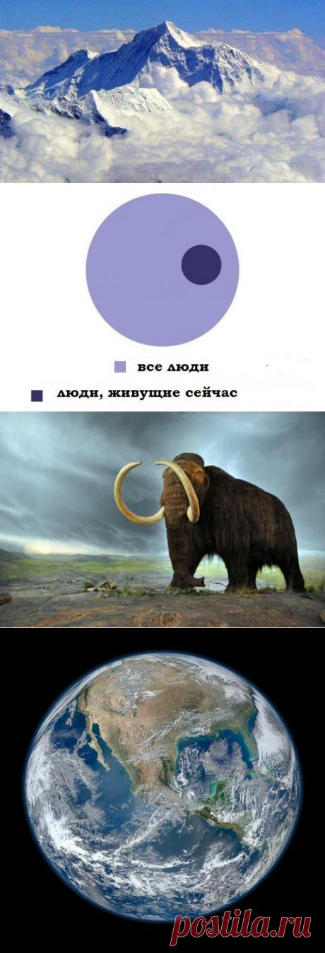 25 точных фактов, которые многим кажутся неправдоподобными