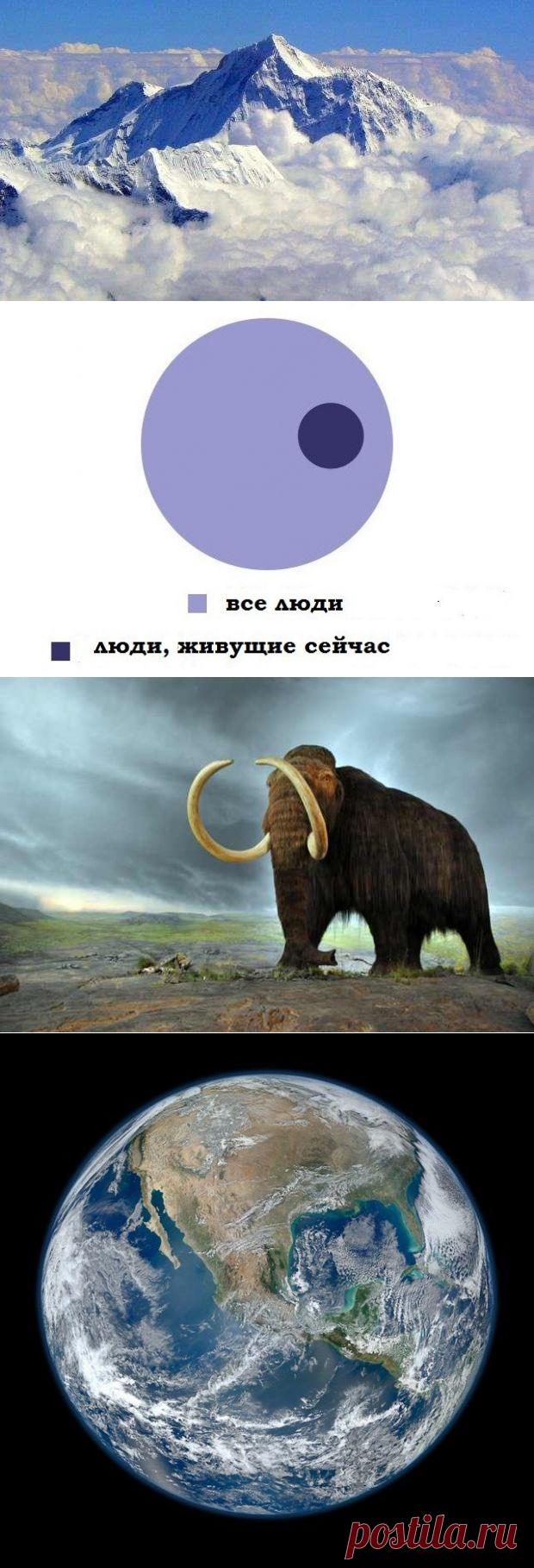 25 точных фактов, которые многим кажутся неправдоподобными