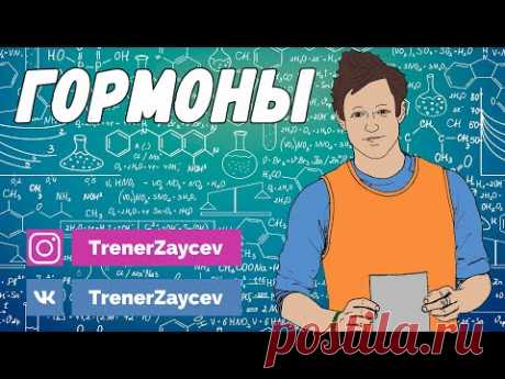 07. Гормоны